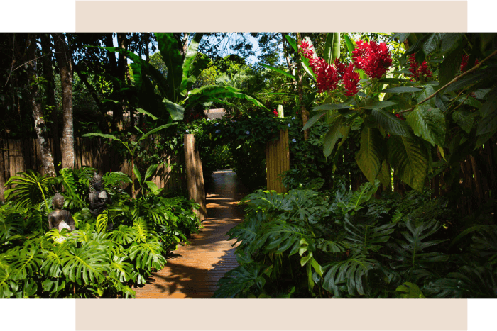 Foto do Jardim na Fazenda Shanti